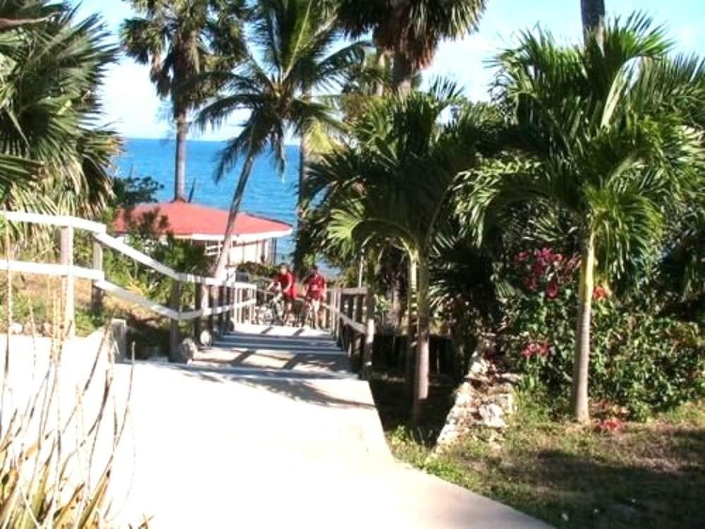 Treasure Beach Hotel טבע תמונה